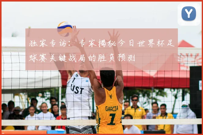 独家专访：专家揭秘今日世界杯足球赛关键战局的胜负预测